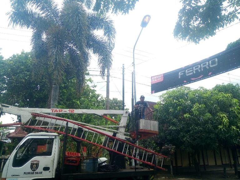 Pemel PJU Desa Randusongo