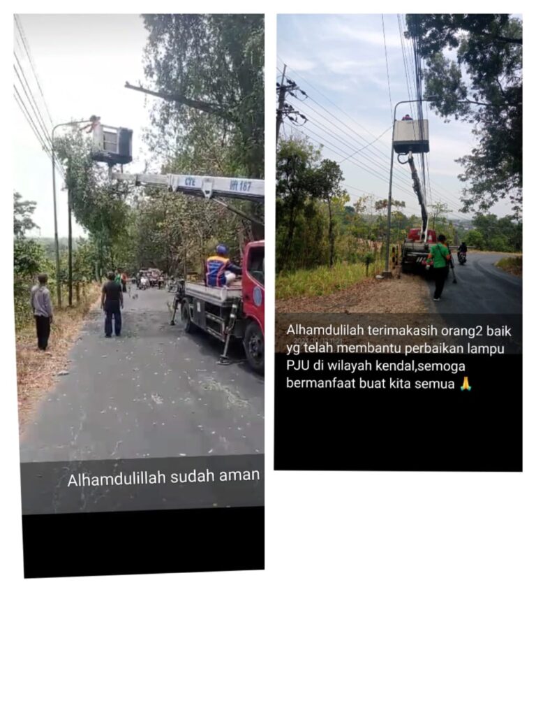 WhatsApp Image 2023-10-12 at 14.03.47